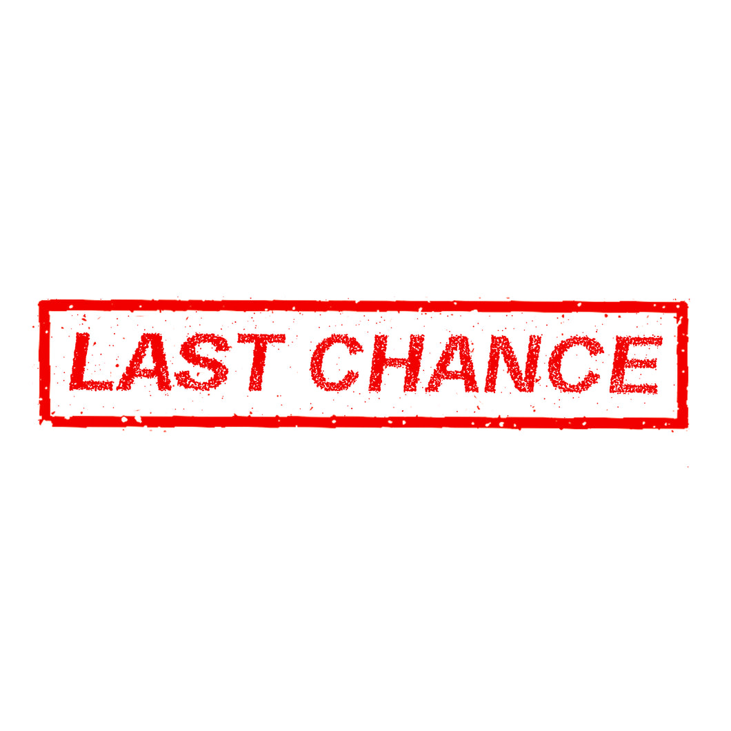Dry Rot - LAST CHANCE