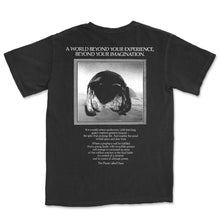 Load image into Gallery viewer, Dry Rot - Beyond Your Imagination
